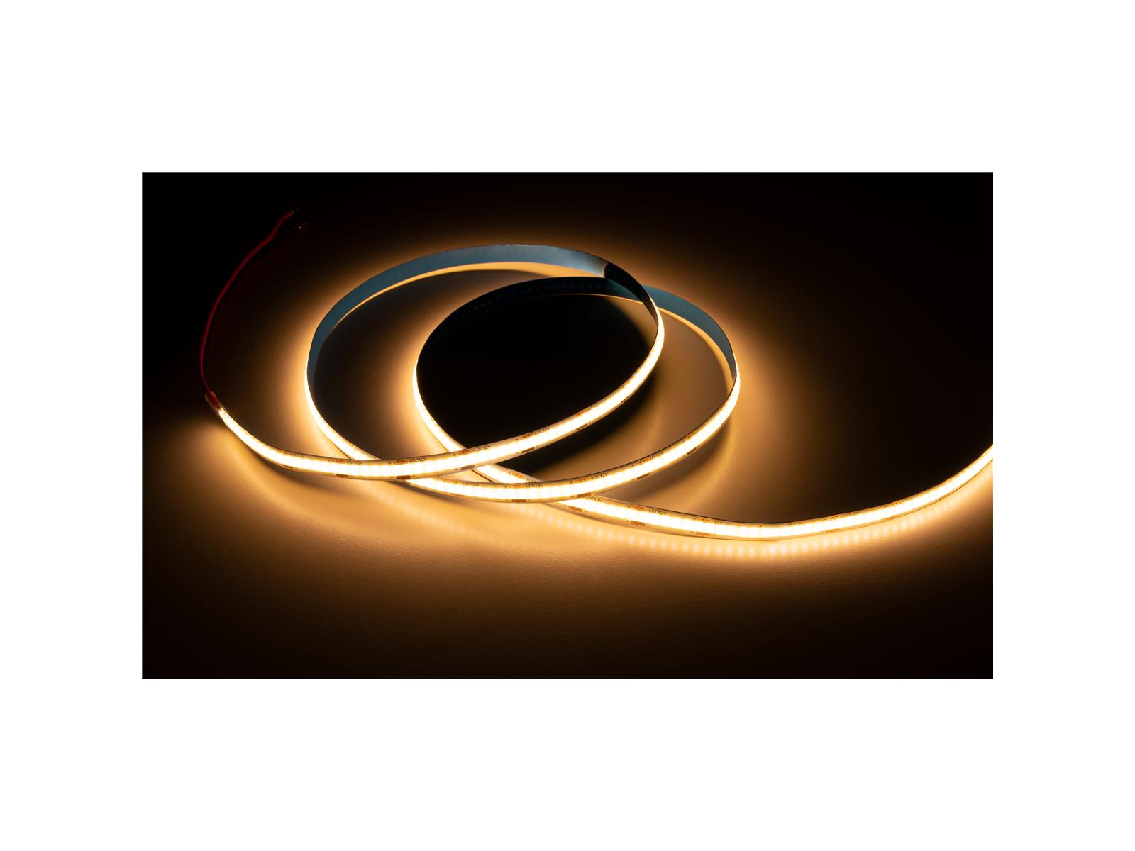 LED-COB-Stripe McShine, 5m, warmweiß, 3150lm, 12V/38W, IP20